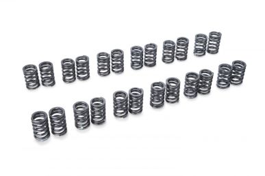 RSE Valve Spring Set RB26DETT TYPE-A