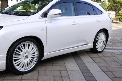 Branew Lexus RX Side Step