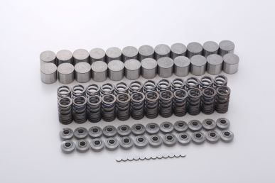 TOMEI INNER SHIM KIT 2JZ