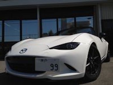 Tuckin 99 License plate stay for ND Roadster