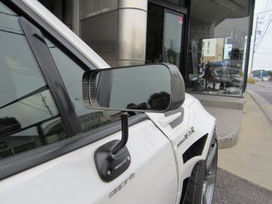 ESPRIT 86 DBA-ZN6 Dry Carbon Door Mirror