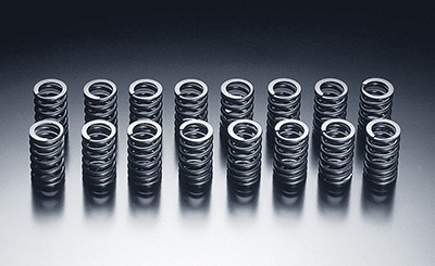HKS Valve Spring