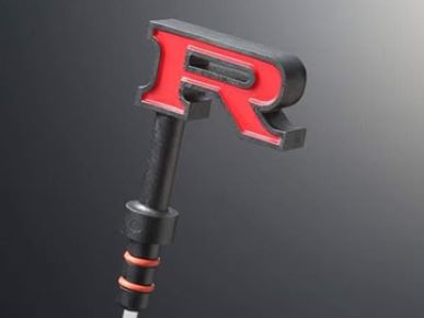 RS Pantera R35 R Oil Level Gauge