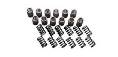 KAKIMOTO RB26DETT Reinforced Valve Spring