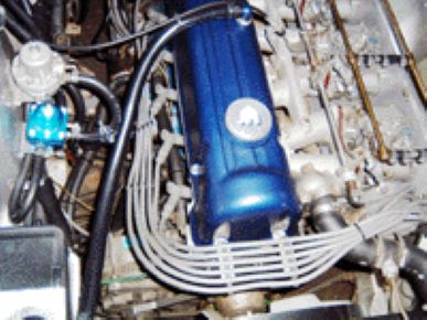 PROTEC Original Ultra Plug Cord