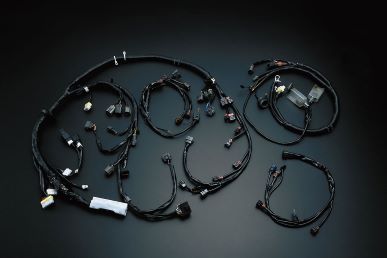 MIDORI SEIBI EGI HARNESS KIT