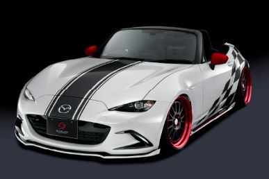 Silk Blaze ND5RC Stripe