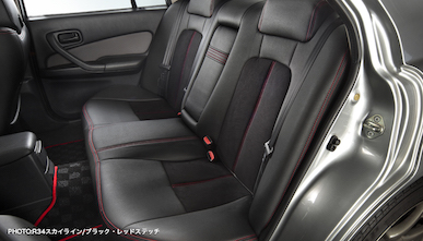 Artina Sports seat cover